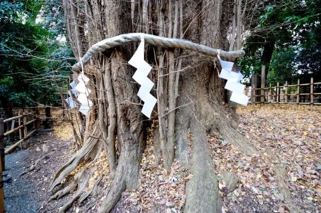 ⛩️ 오쿠니타마 신사 (이와키의 다이코쿠사마) 이미지 4